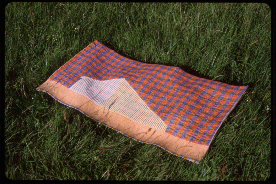 Woven fabric showing a striped barn with a red and blue checked background and pale organge base resting in the grass.