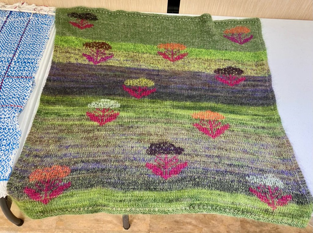 Joanna G. - Knitted scarf in a variety of landscape colors with several flower shapes done with Swill darning.